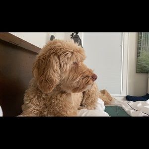 Meet your Posher, Marisa